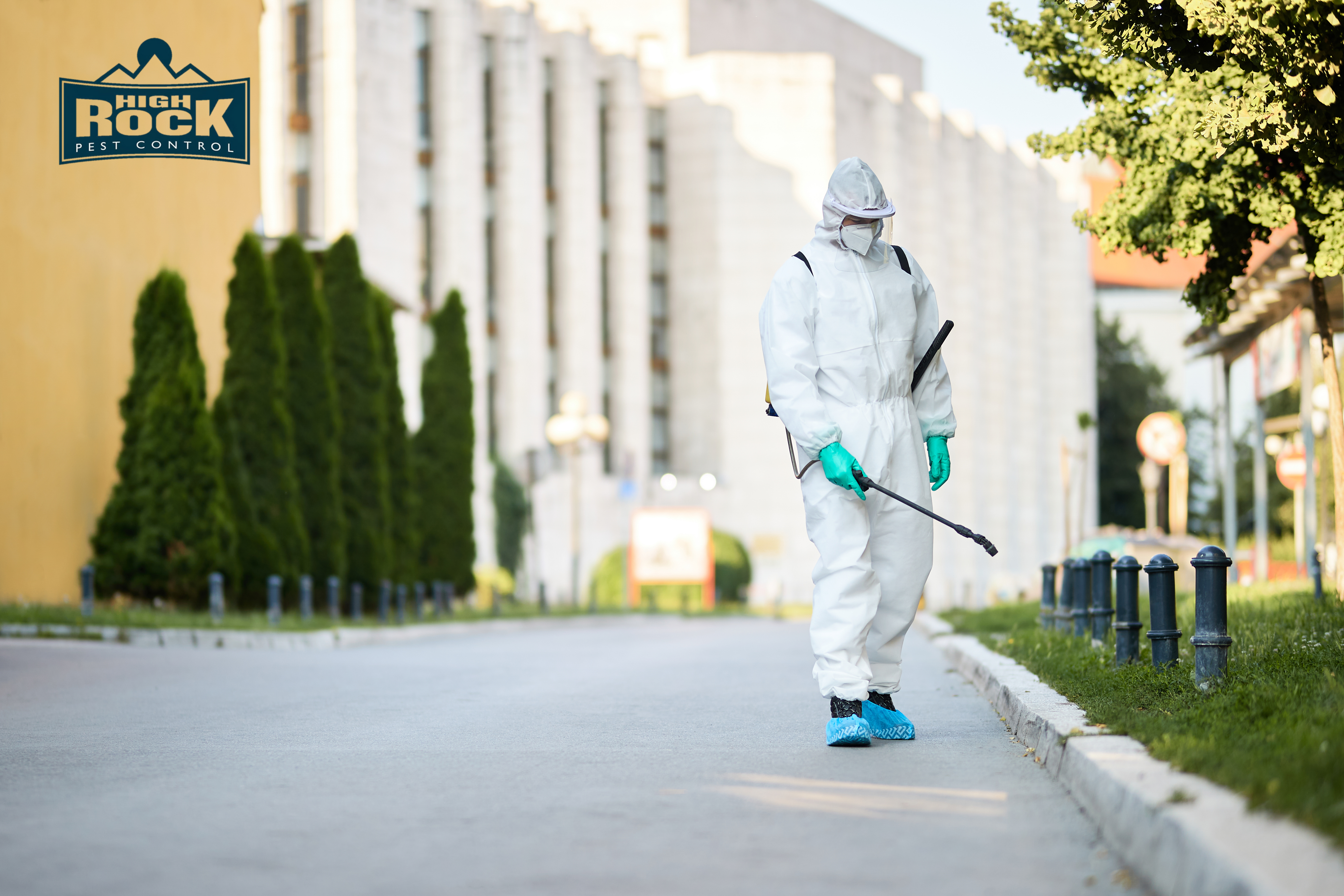 Pest Control Mistakes Cleveland Residents Make